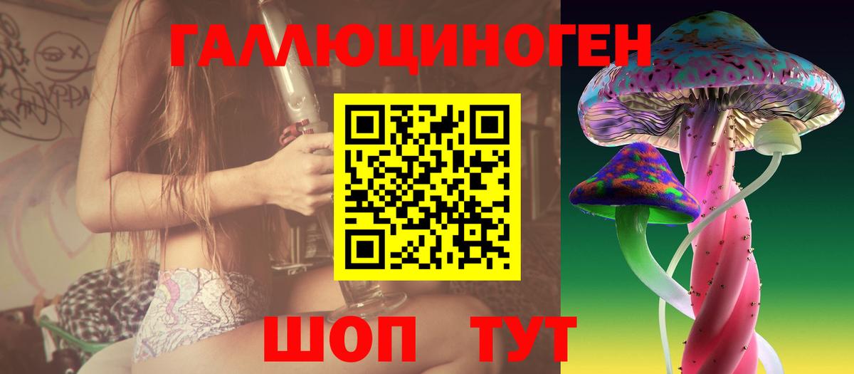 купить наркотики сайты  Псилоцибиновые грибы MAGIC MUSHROOMS  Вход с VPN  Сердобск  Псилоцибиновые грибы мухоморы 